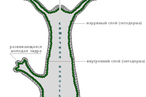 Рабочее зеркало омгомг