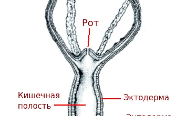 Omg omg телеграм канал